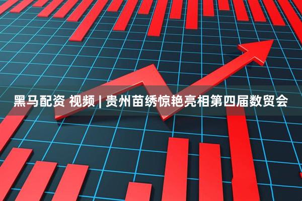 黑马配资 视频 | 贵州苗绣惊艳亮相第四届数贸会