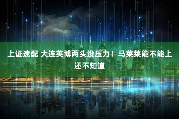 上证速配 大连英博两头没压力!马莱莱能不能上还不知道